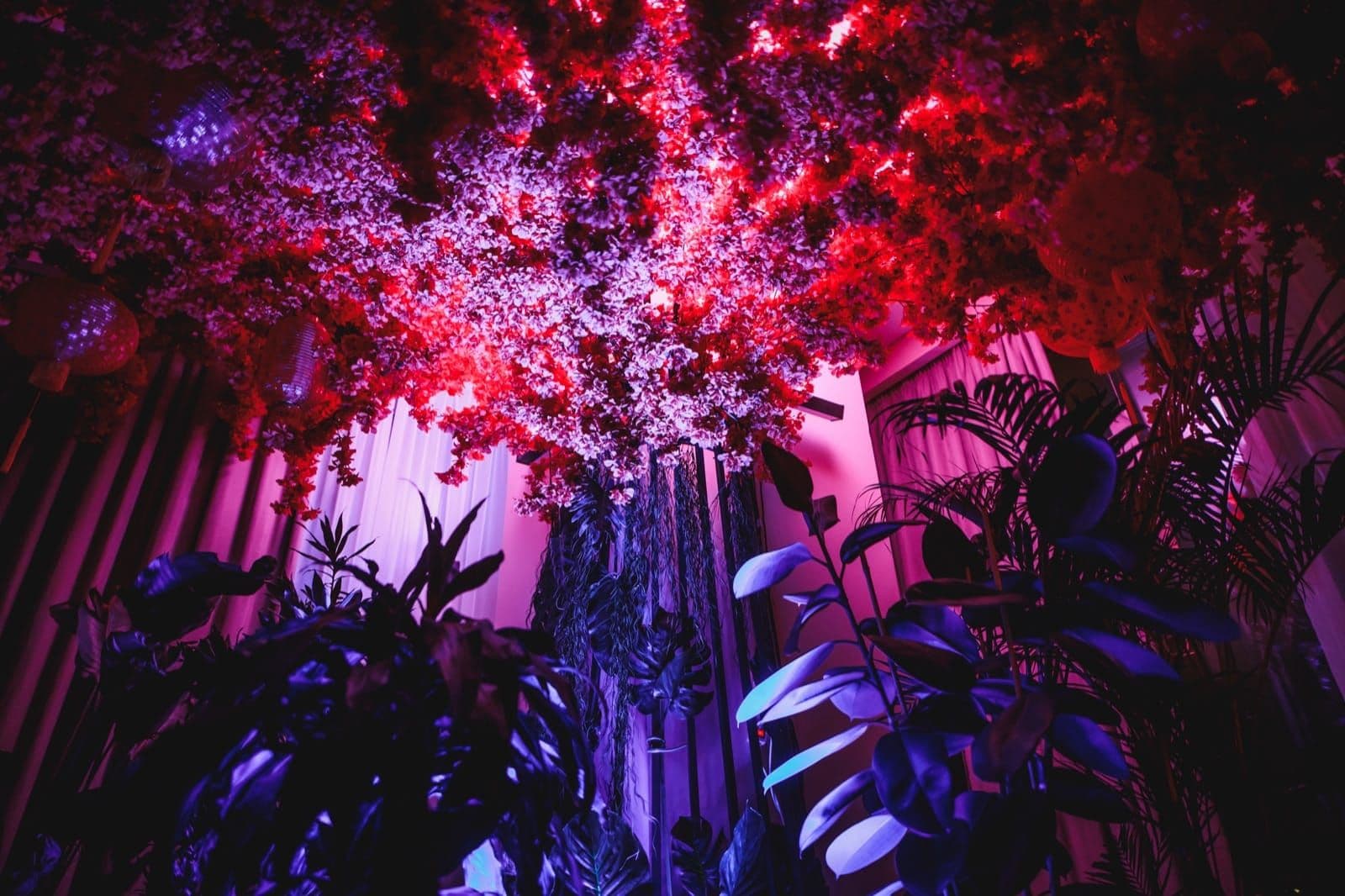 A luminous canopy of blossoms transforms Cyber Zen Apartment in pink, violet and red light.